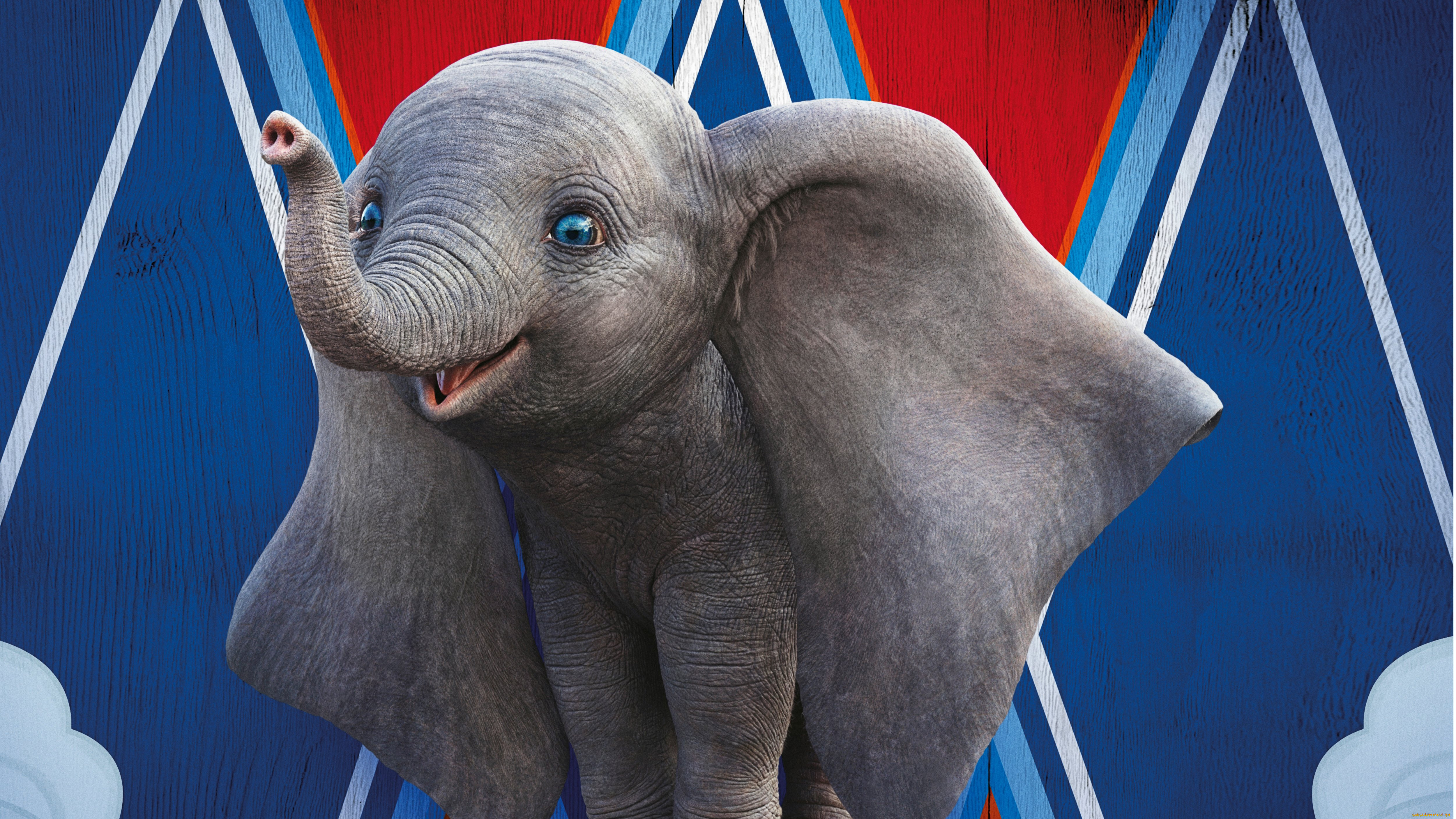  , dumbo